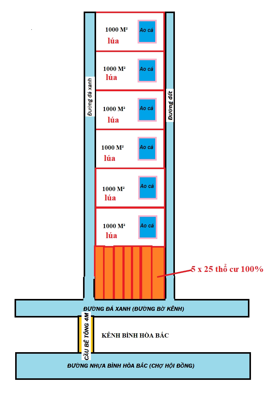 Đất Vườn Long An 1000m² - An Cư, Đầu Tư Sinh Lời Chỉ 500 Triệu