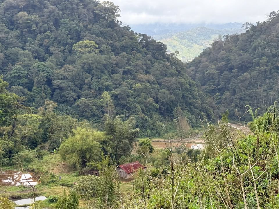 Đất nền Xã Hiếu Kon Plông 1080m² - Tiềm năng tăng giá vượt trội!