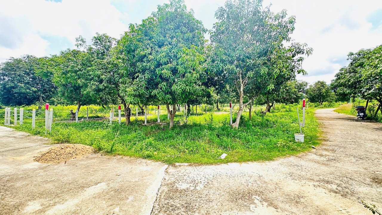 Đất nền Thôn Tân Khánh, Diên Khánh 82.5m² - Đất thổ cư 100%, ô tô vào tận nơi!