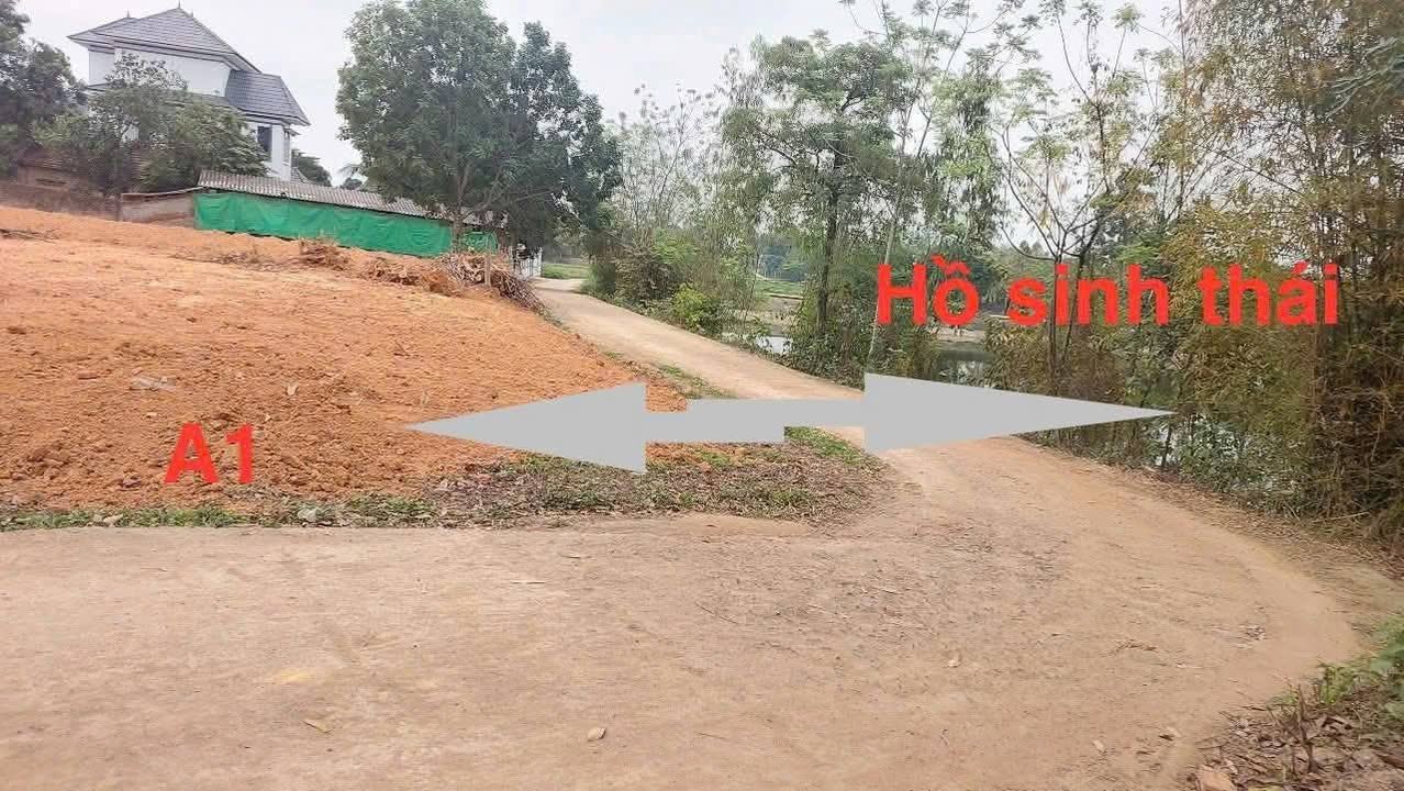 Đất nền Tam Dương, Vĩnh Phúc 100m² - Sổ đỏ chính chủ, giá từ 700 triệu!