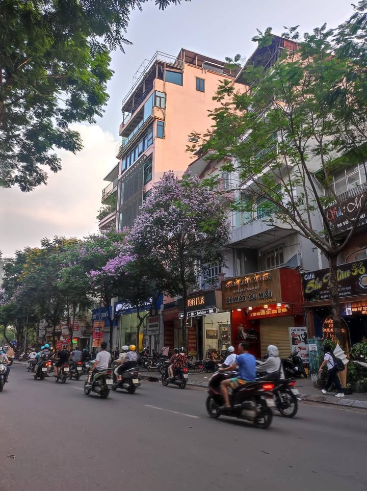 Nhà Mặt Phố Võ Thị Sáu 1206m² Kinh Doanh Sầm Uất - Dòng Tiền 50 Triệu/Tháng