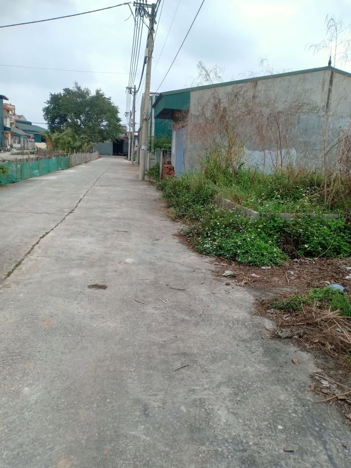 Đất nền Văn Hoàng Phú Xuyên 125m² - Tiềm năng tăng giá vượt trội!