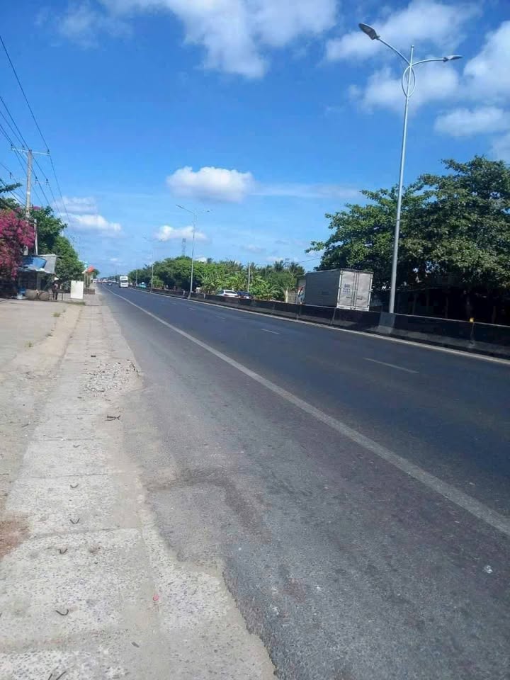 Đất Nền Mặt Tiền QL1A Long Định, 691m² Giá 4.7 Tỷ - Kinh Doanh Sầm Uất!