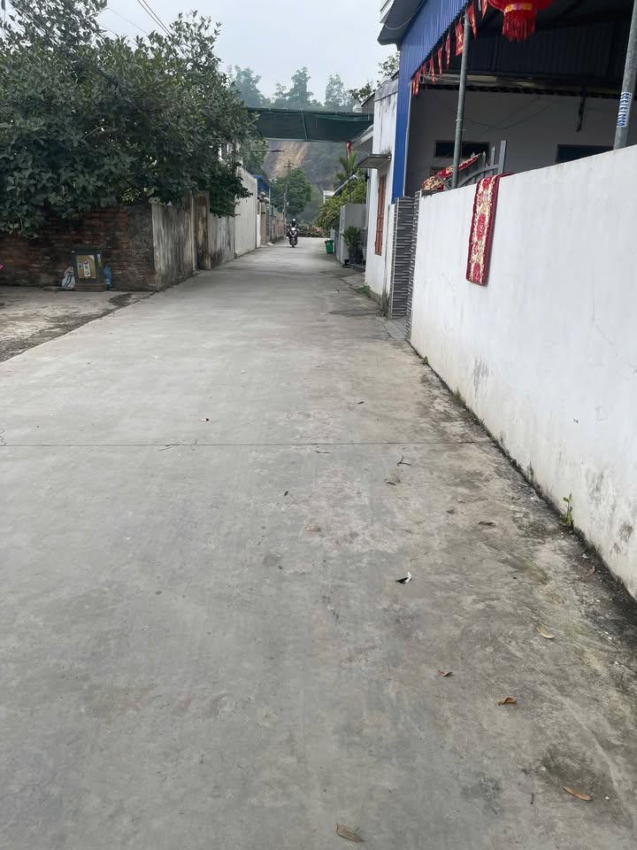 Đất nền Xuân Áng An Lão 72m² - Sổ đỏ chính chủ, giá tốt!