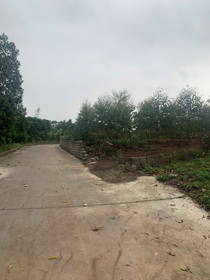 Đất nền Lạng Giang, Bắc Giang 350m² - Giá tốt hiếm có!