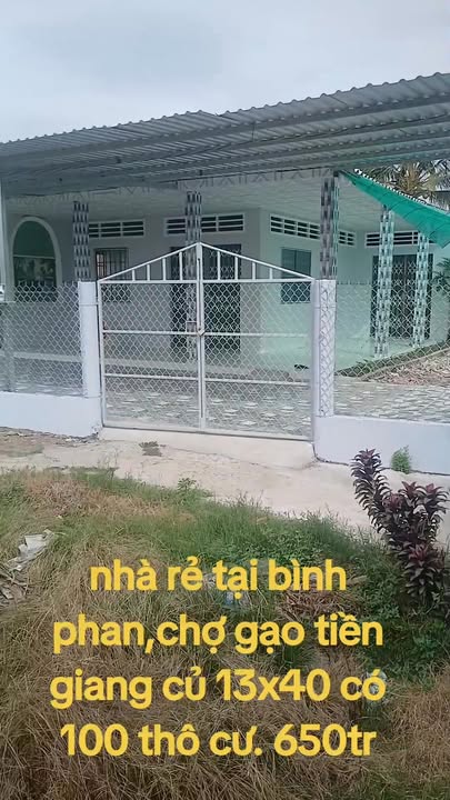 Nhà vườn Chợ Gạo 520m² - Sổ hồng sẵn, giá chỉ 650 triệu!