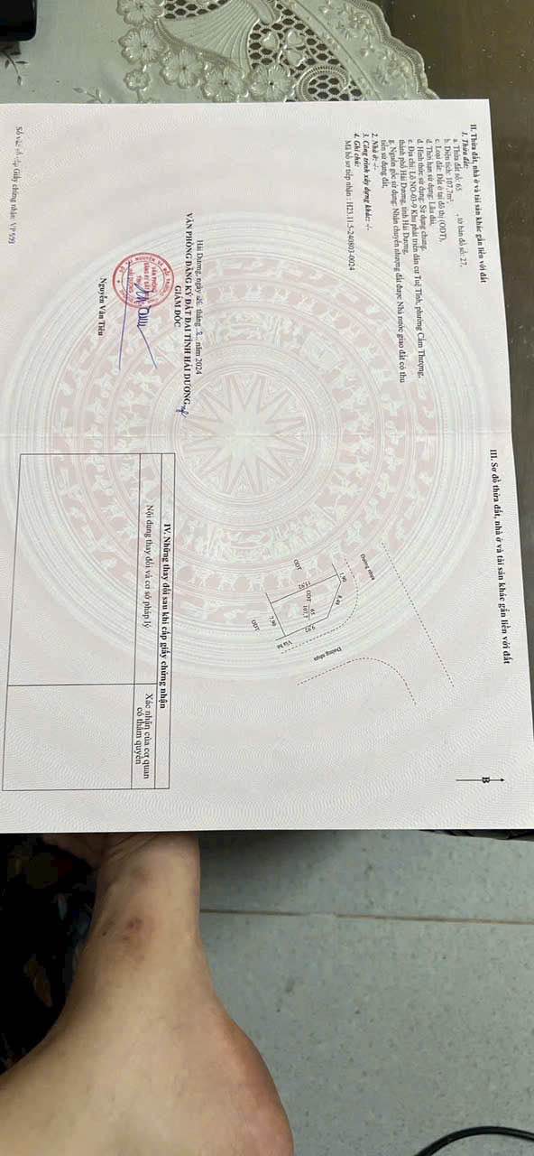 Đất Lô Góc Khu Đô Thị Tuệ Tĩnh Mới, Hải Dương - 107m² Sổ Đỏ Sẵn Sàng