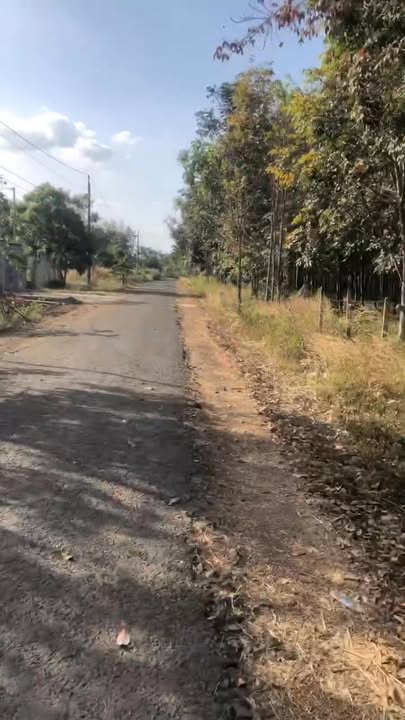 Đất Vườn Long Tân 5100m² Giá 1 Tỷ - Đầu Tư Dài Hạn!