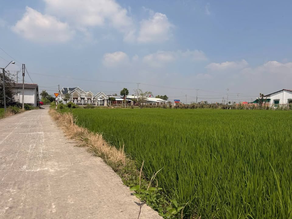 Đất nền mặt tiền Lê Văn Bụi, Long An - 150m² Sổ Đỏ, Giá 650 triệu