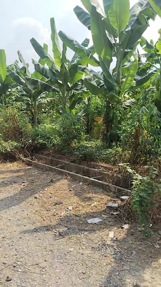 Đất vườn Phước Thiền 400m² giá 5.5 tỷ - Sổ đỏ chính chủ, góc 2 mặt tiền!