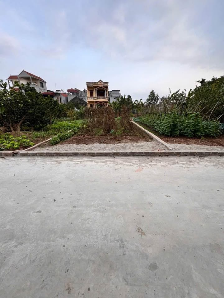 Đất nền Bạch Hạ Phú Xuyên 143m² - Đường ô tô tránh, tiềm năng sinh lời