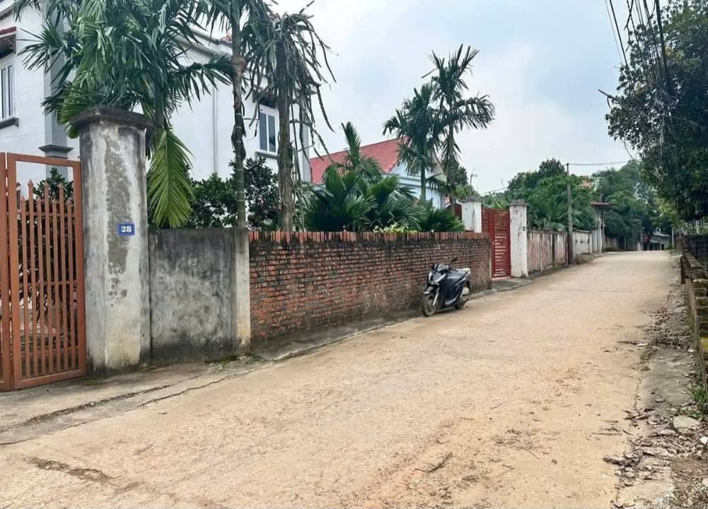 Đất Ba Vì 211m² - Mặt Tiền 10m, Sẵn Sổ Đỏ, Giá 1.x Tỷ