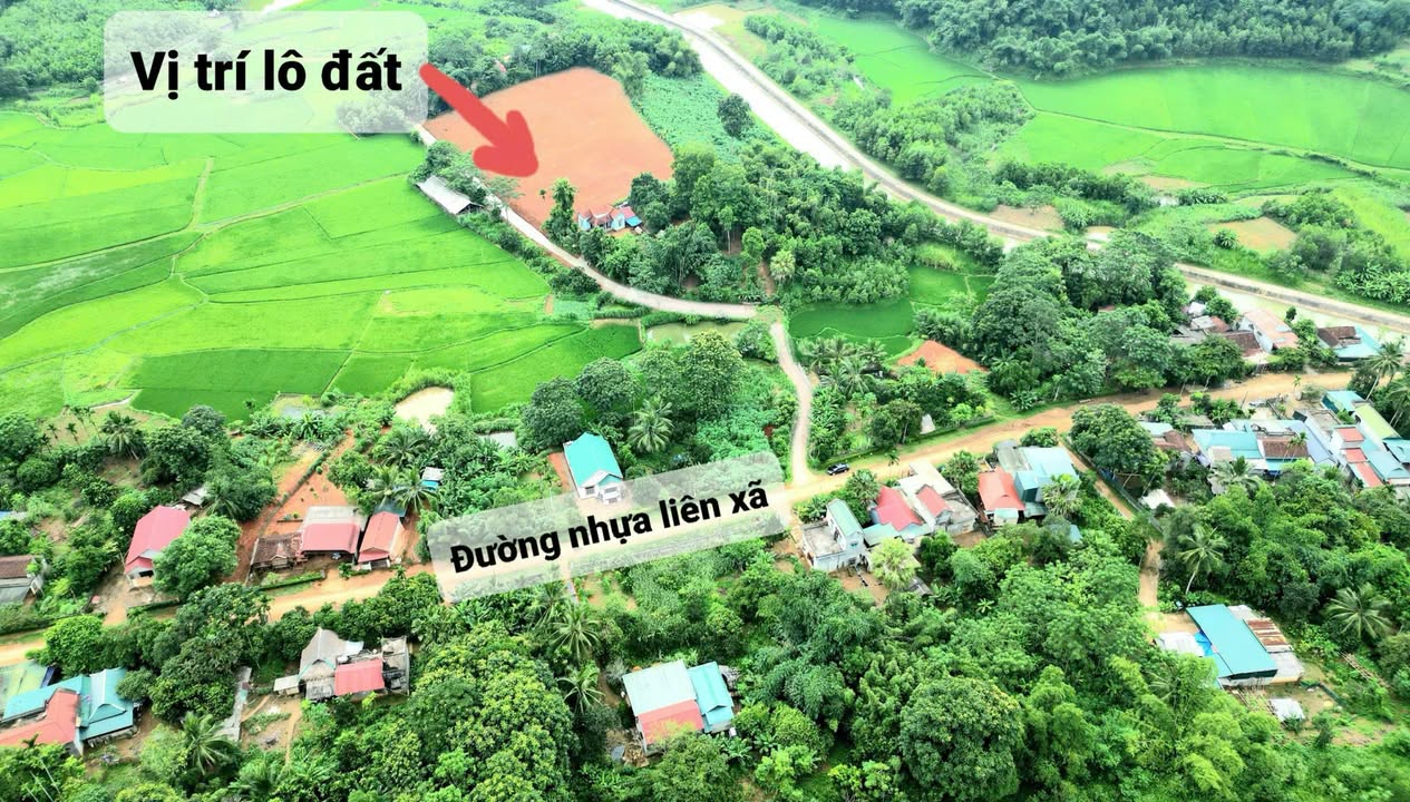 Đất Nền Ngọc Lặc 4000m² - Cơ Hội Đầu Tư Sinh Lời Vượt Trội