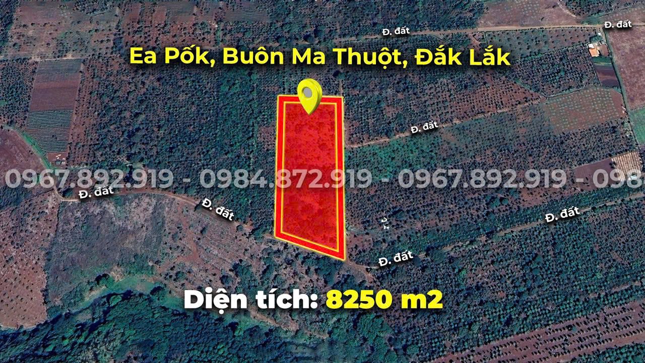 Đất Nông Nghiệp Ea Pốk 8.250m² - Sẵn Thủy Lợi, Giá Đầu Tư
