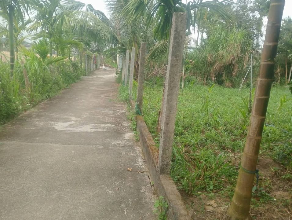 Đất nền Tịnh Sơn, Sơn Tịnh 120m² Hướng Đông - Giá F0 F0 trước Tết!