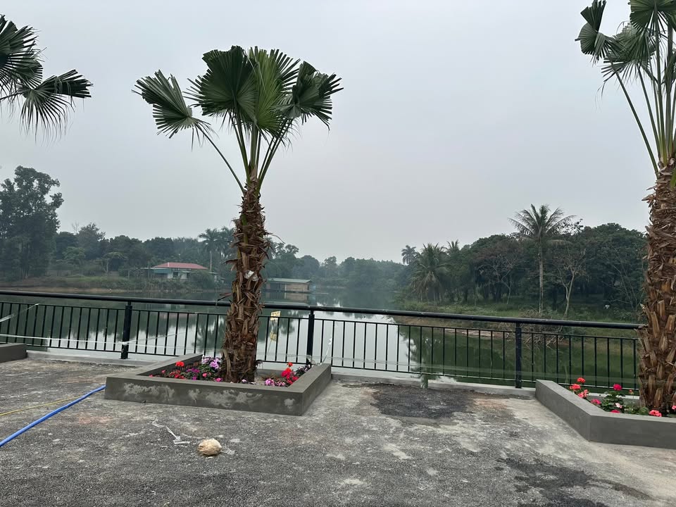 Đất nền Hòa Lạc 100m² view hồ - Sổ đỏ sẵn sàng giao dịch