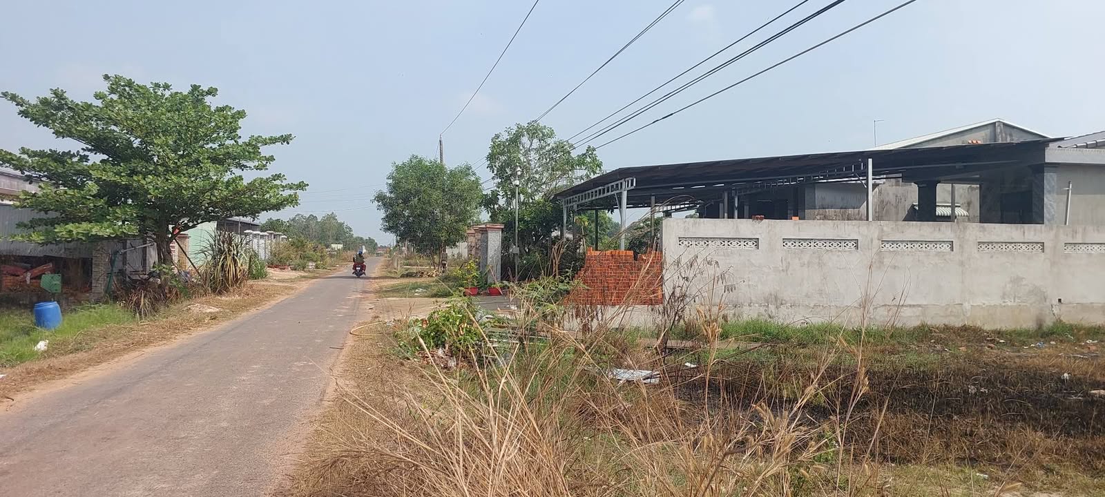 Đất Vườn Gò Dầu 1240m² - Mặt Tiền Nhựa, Sẵn Sổ Hồng