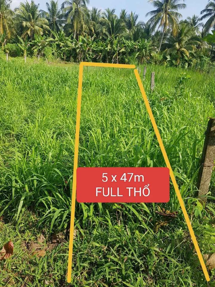 Bán đất Long Phú Tam Bình 235m² giá 320 triệu - Sổ đỏ chính chủ