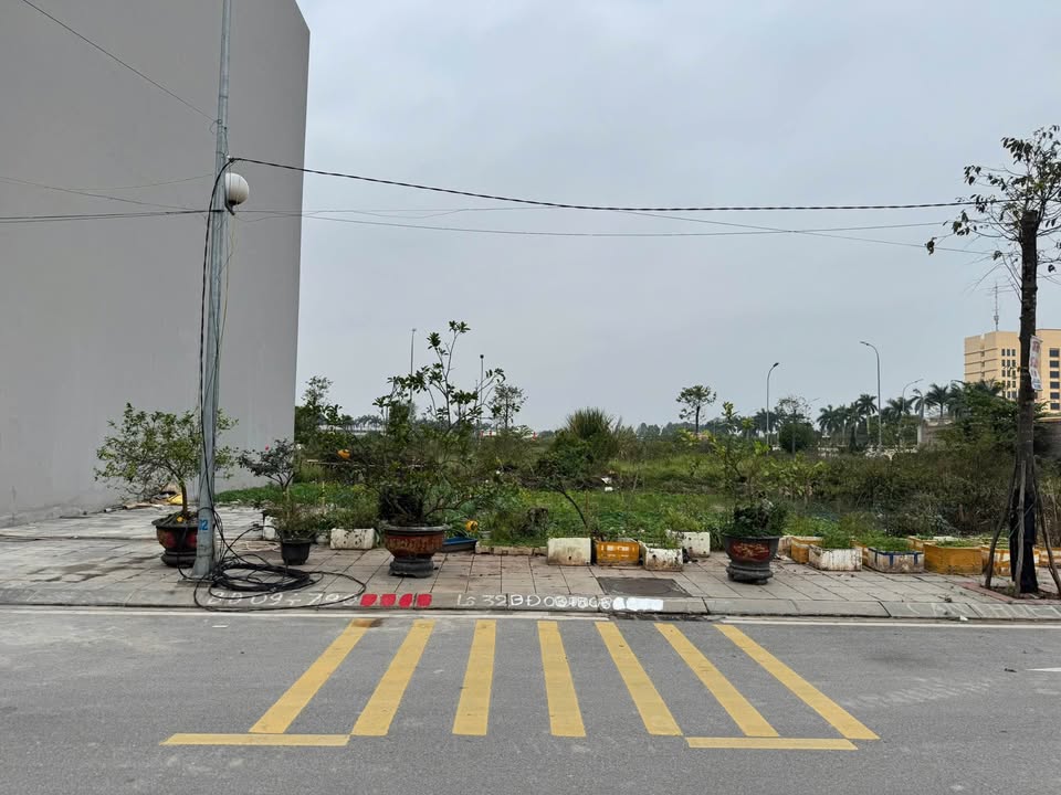 Đất Mặt Đường Nguyễn Công Trứ, Nam Định - 90m², Hướng ĐN, Giá Tốt