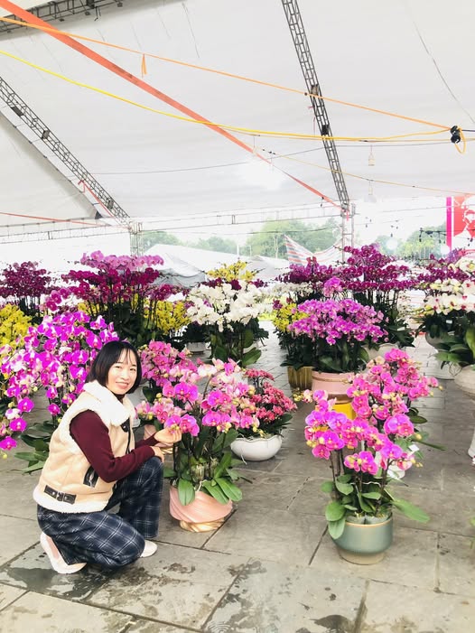 Đất Vĩnh Yên 100m² Sổ Hồng Riêng - Gần KCN Khai Quang