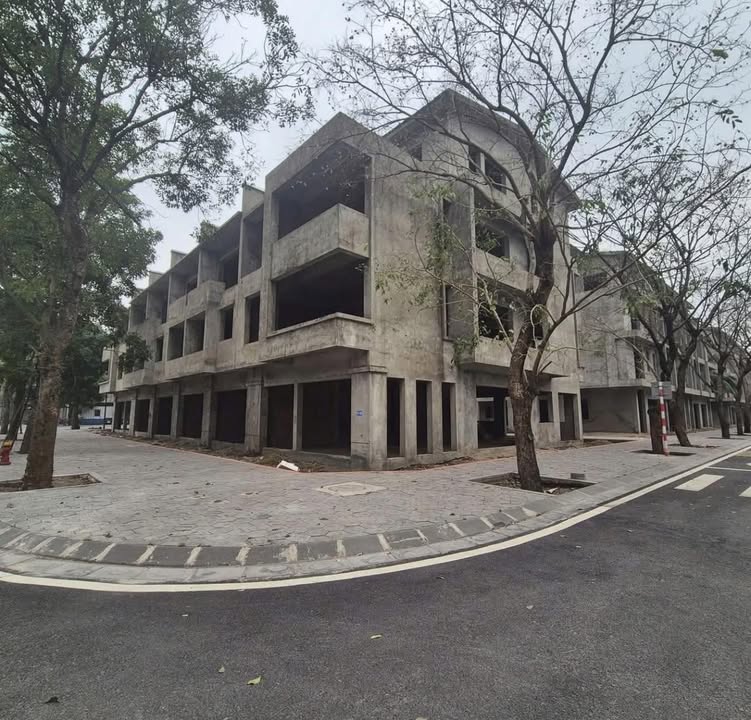 Đất nền Ecopark Văn Giang 165m² - Góc 2 mặt tiền, sổ đỏ sẵn sàng