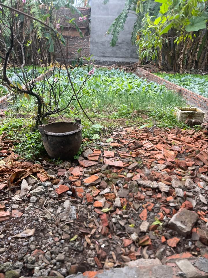 Đất nền Quán Khê Gia Lâm 70m² giá 3.43 tỷ - Tiềm năng tăng giá mạnh!