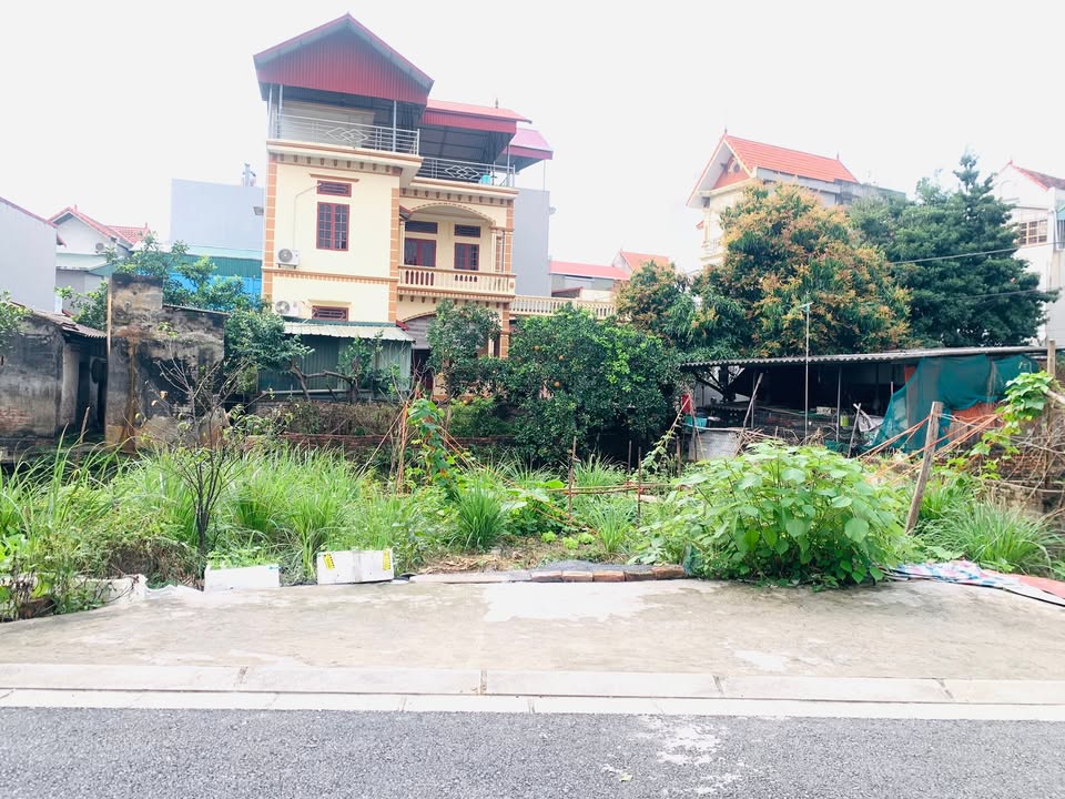 Đất Nền Gia Lâm 51m² - Ô Tô Vào Tận Đất - 4.65 Tỷ - Gần Vinhomes