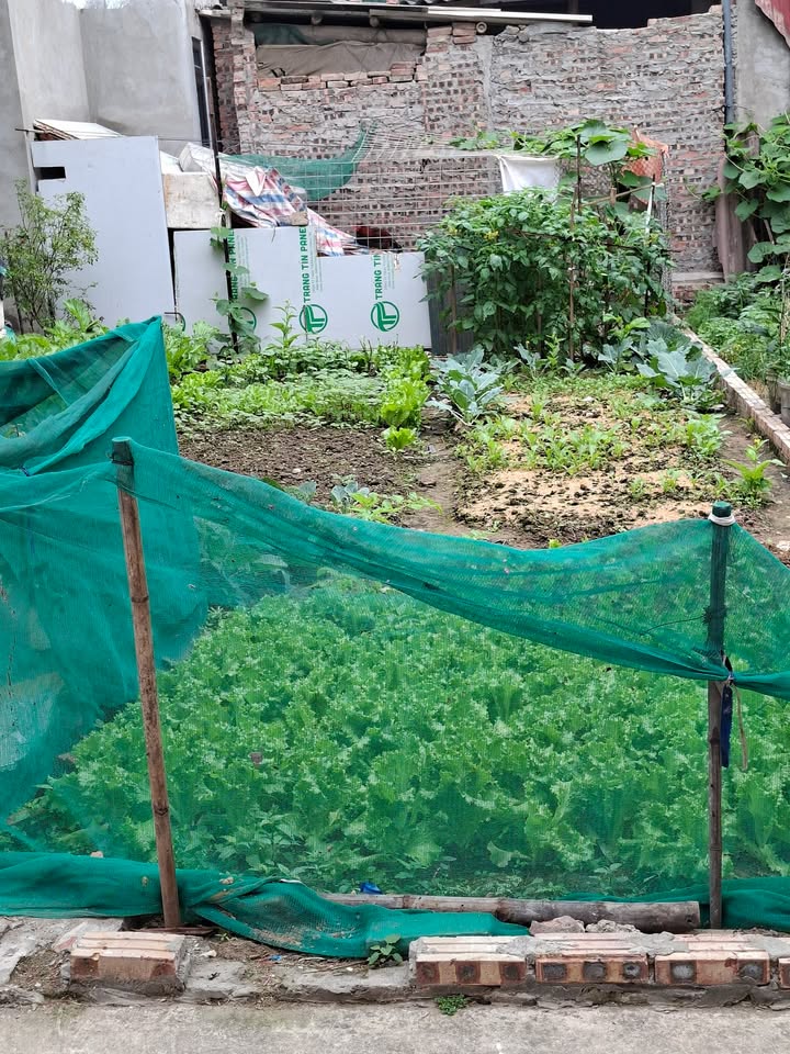 Đất nền Phố Hồ Thuận Thành 66m² - Tiềm năng tăng giá vượt trội!