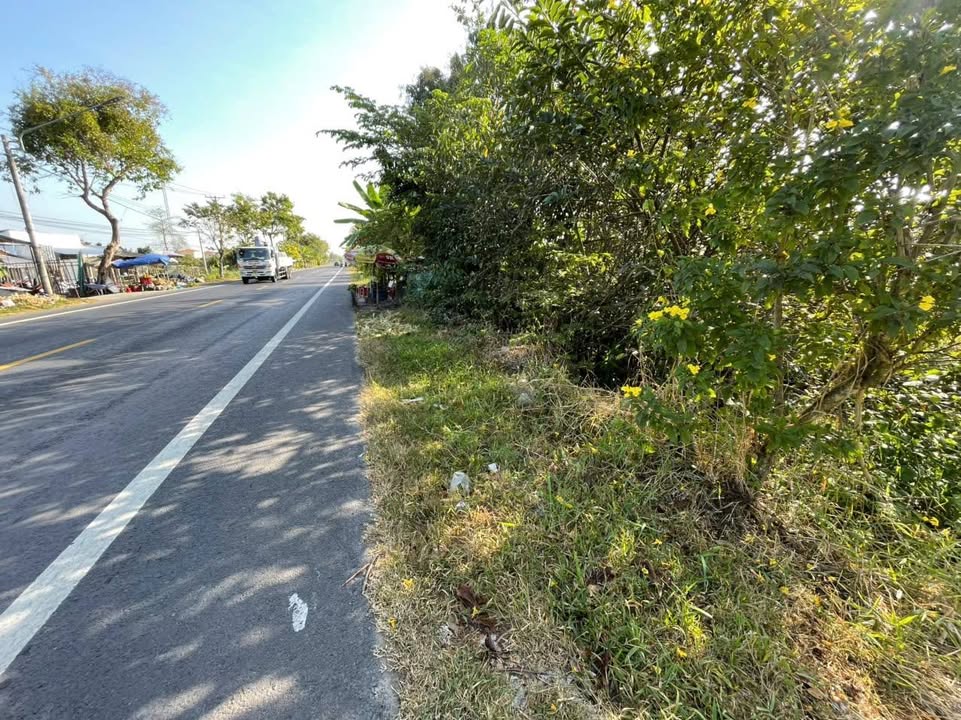 Đất nền Quốc lộ 61C Cần Thơ 297m² - Sổ đỏ chính chủ!