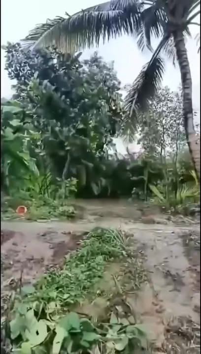 Bán đất vườn Phú Hữu Châu Thành 2060m² giá 1 tỷ - Đầu tư dài hạn!