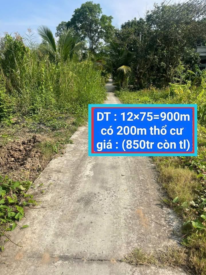 Đất nền Phong Điền 900m² giá 850 triệu - Mặt tiền sông mát mẻ!