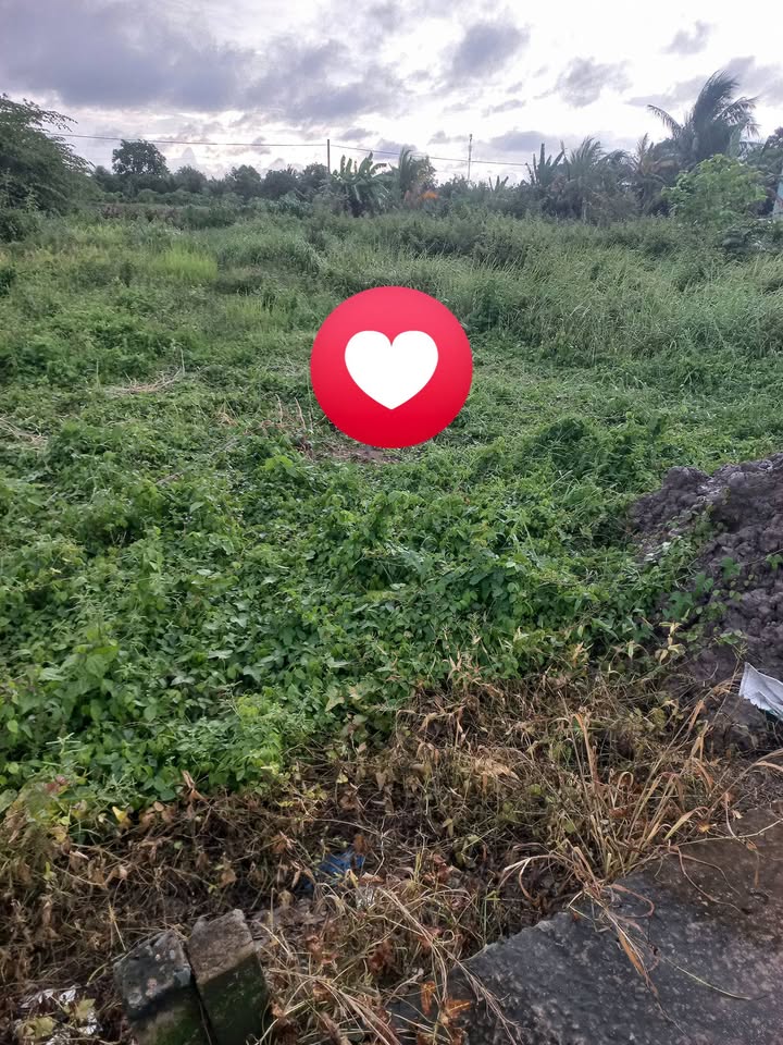 Đất nền Mỹ Phong 64m² - Ô tô vào tận nơi, sổ hồng sẵn