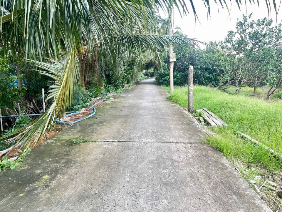 Bán Đất Nền Phường Mỹ Phong, Mỹ Tho - 85m² Full Thổ Cư, Giá Tốt