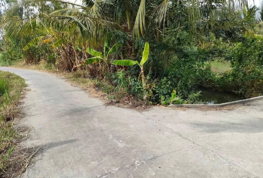 Đất Nền Vĩnh Hựu, Đồng Tháp - 331m² Sổ Hồng Sẵn, Giá Sốc 275 Triệu