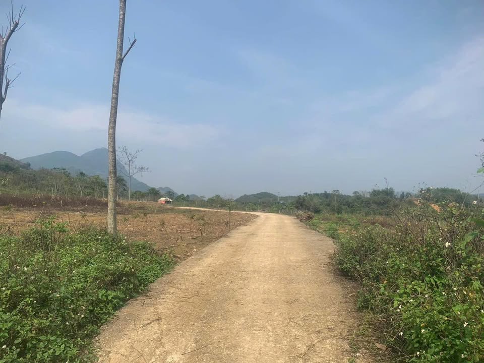 Bán Đất Vườn Hoà Bình 2100m² - View Đẹp, Đường Xe Vào