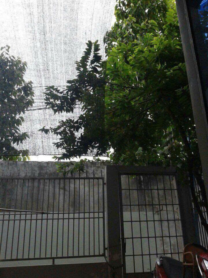 Cho thuê nhà nguyên căn 60m² Phường Trường Thạnh, TP.HCM - Giá 4 triệu/tháng