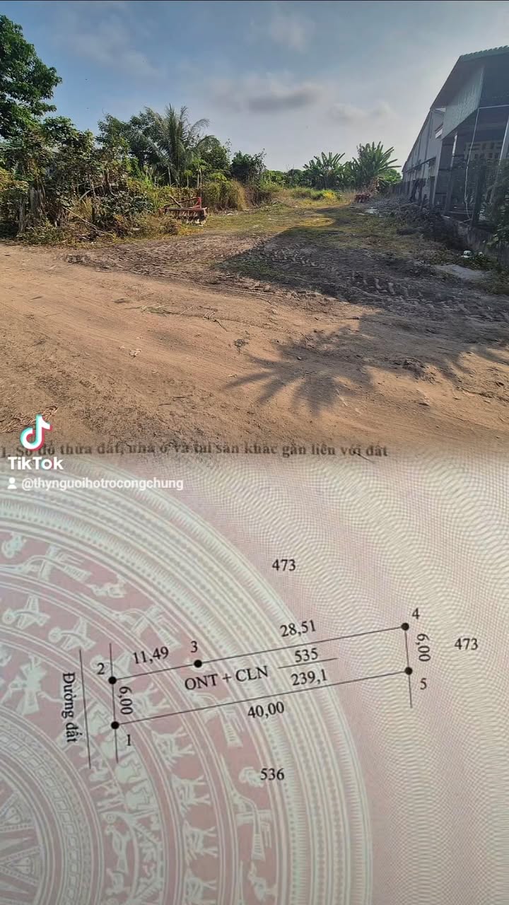 Đất Nền Ấp Tân Tây, Tân Châu 240m² - Sổ đỏ chính chủ, giá chỉ 335 triệu!