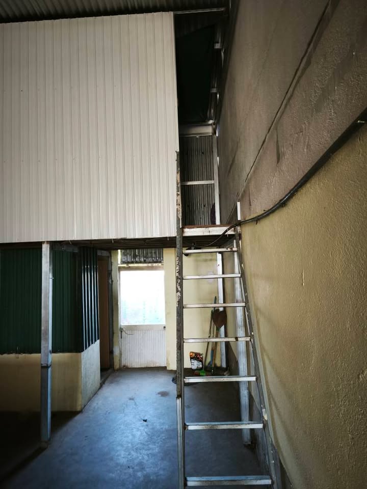 Đất nền Đà Lạt 123m² Đường Phạm Ngũ Lão - Giá Tốt Hiếm Có!