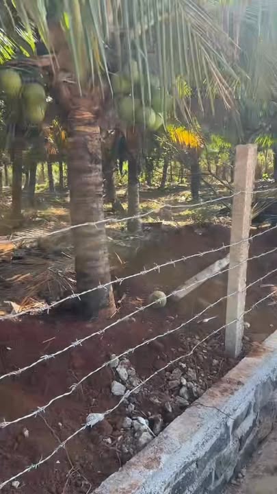 Đất Nền Nhơn Hoà 4000m² Gia Lai - Sổ Đỏ Chính Chủ, Tiềm Năng Vàng