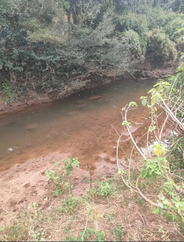 Đất Farm Ia Me 7ha giá 4.9 tỷ - Đầu tư sinh lời!