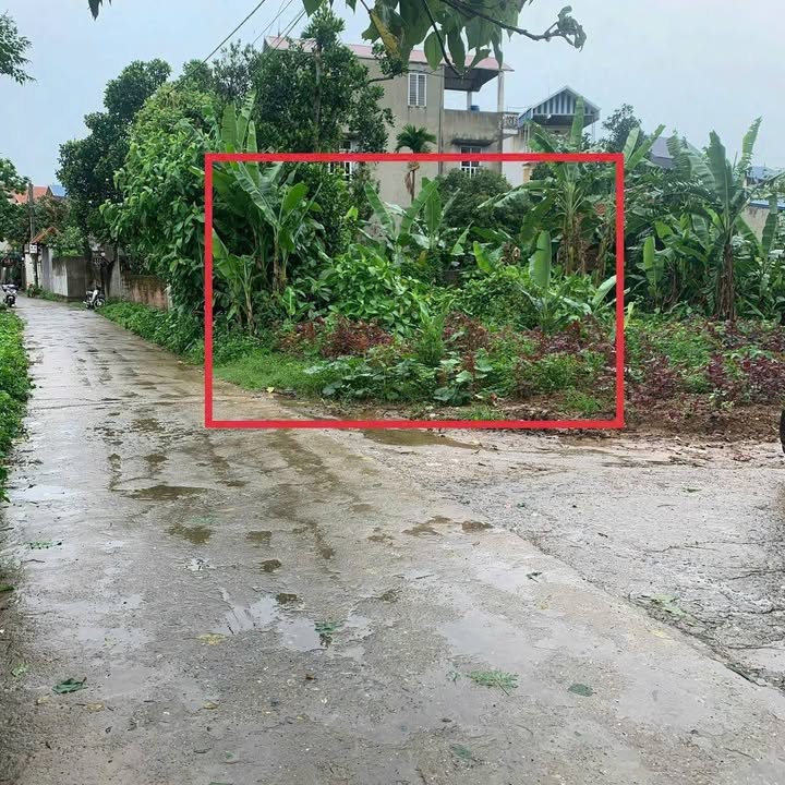 Bán Gấp Đất 40m² Phường Chương Mỹ, Hà Nội - Giá 1.25 Tỷ