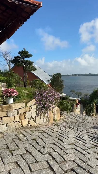 Thuê Homestay Đầm An Khê Đức Phổ 5PN - Nghỉ dưỡng lý tưởng view cực chill