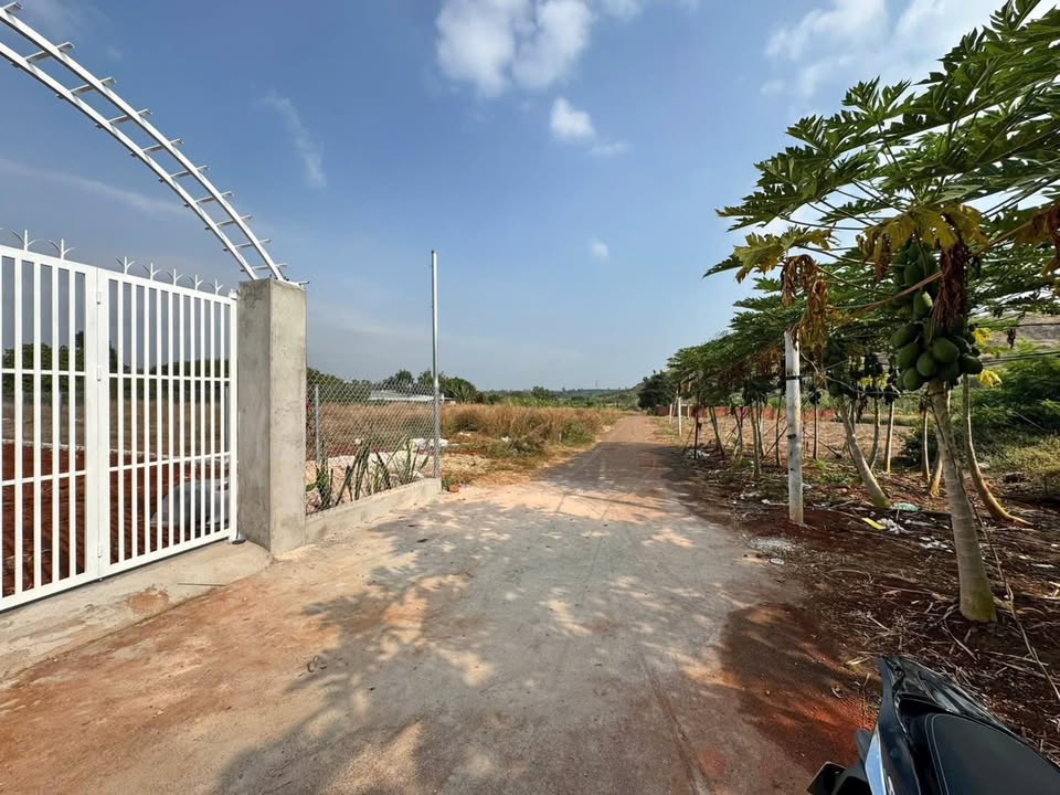 Đất nền Long Tân, Long Đất 250m² chỉ từ 600 triệu - Tiềm năng tăng giá!