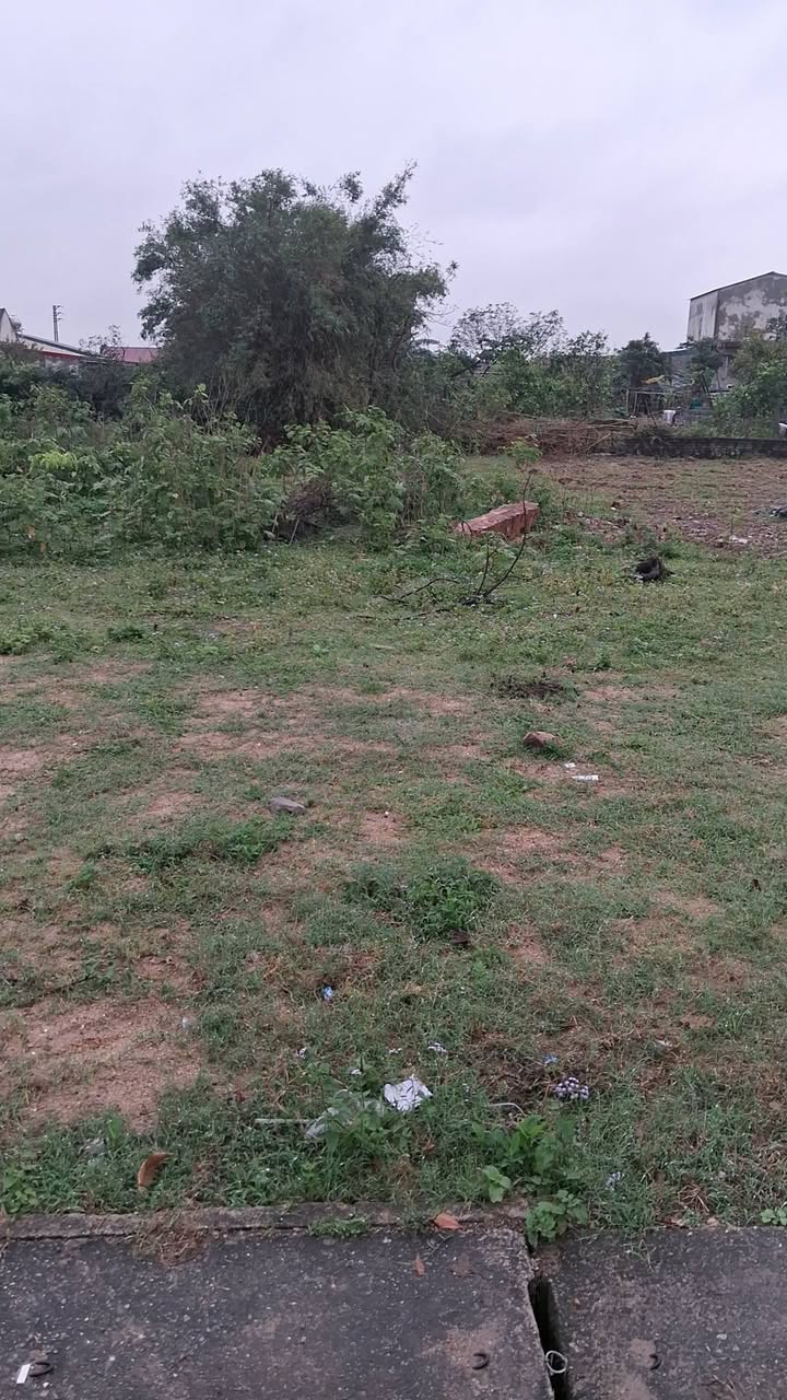 Bán Đất TDP Liên Phú - 140m² - 175 Triệu - Sổ Đỏ Sẵn Sàng