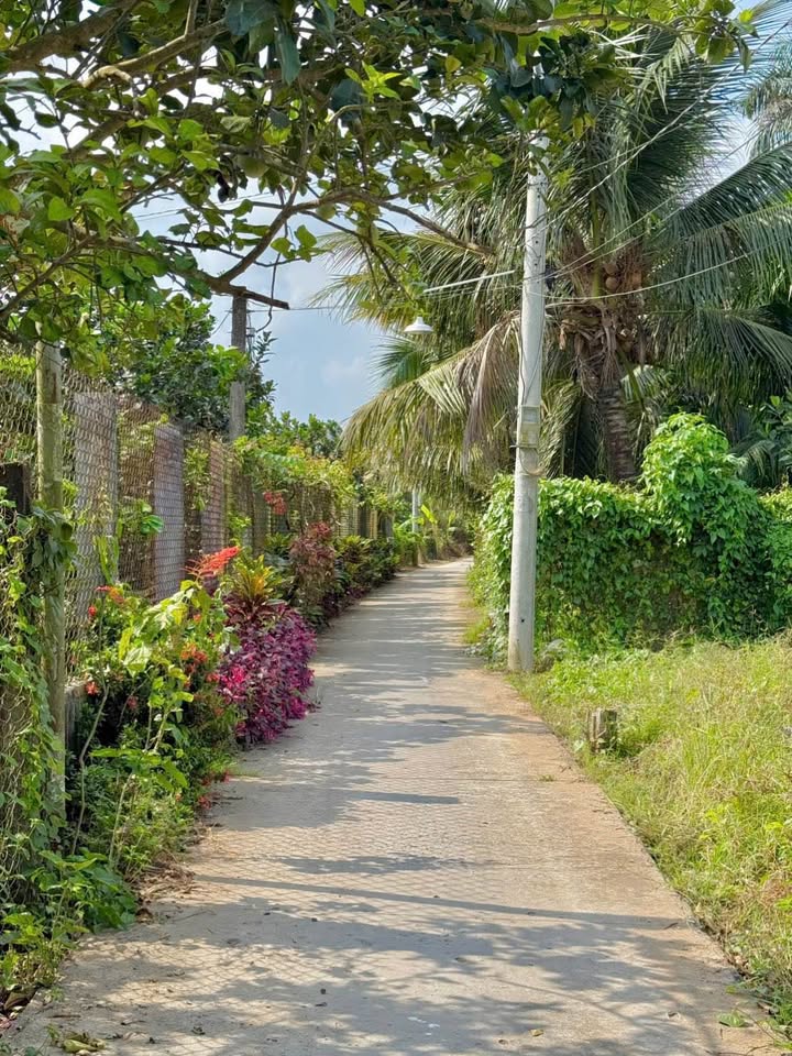 Đất nền Mỹ Tho 83m² - Ngay 90C, ô tô vào, giá 7xx triệu