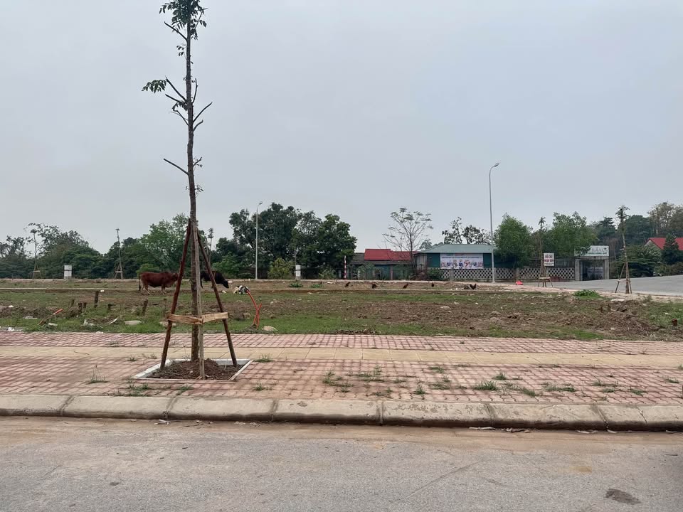 Đất Nền Kinh Bắc, Bắc Ninh 76.5m² - Sổ Đỏ Sang Tên