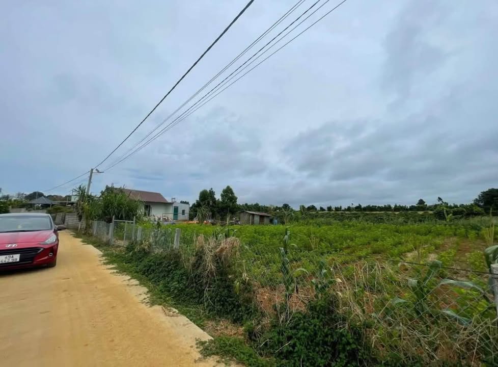 Đất nền Trường Trinh Bảo Lộc 900m² - Sổ đỏ chính chủ!