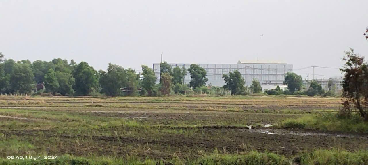 Đất Vườn 1150m² Tân Thạnh Đông Củ Chi giá 2.75 tỷ - Sinh thái xanh, Sổ hồng sẵn!