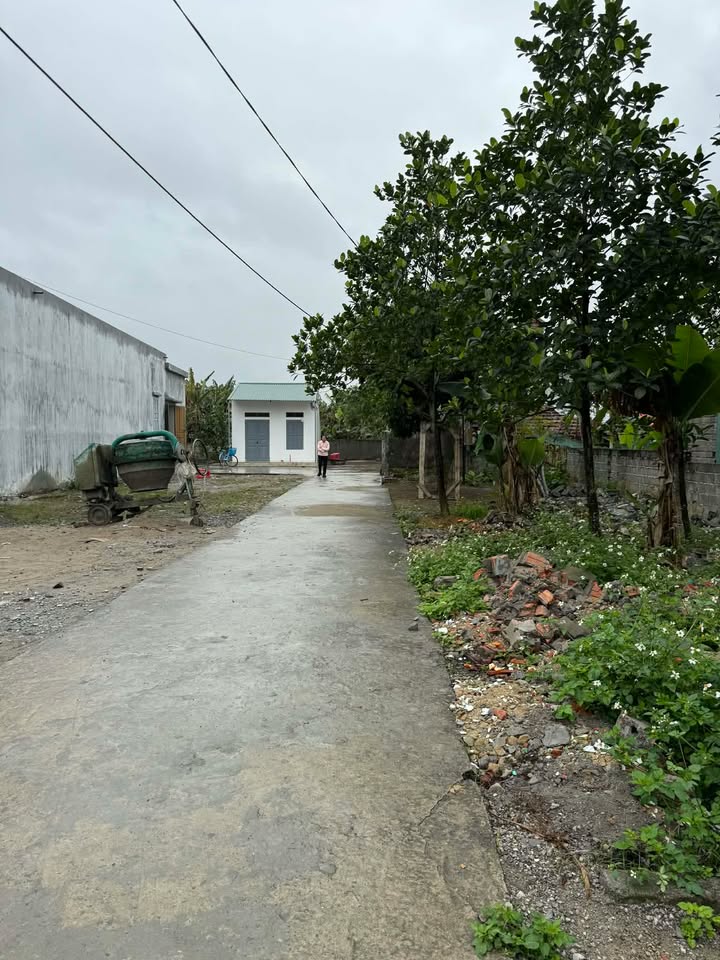 Đất nền Nho Quan Ninh Bình 140m² giá 700 triệu - Sổ hồng chính chủ