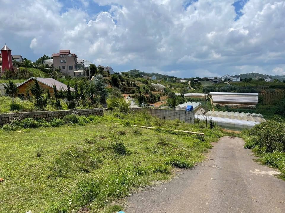 Đất biệt thự Măng Lin Đà Lạt 202m² - View thoáng, lý tưởng nghỉ dưỡng